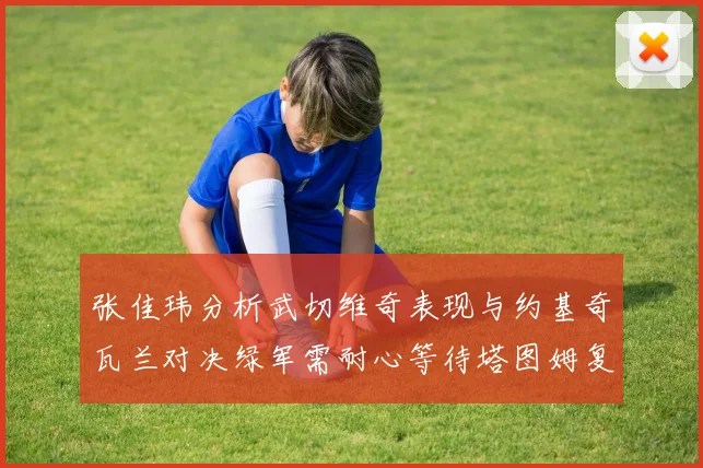 张佳玮分析武切维奇表现与约基奇瓦兰对决绿军需耐心等待塔图姆复出
