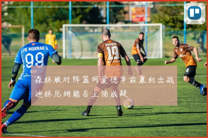 森林狼对阵篮网爱德华兹康利出战迪林厄姆能否上场成疑