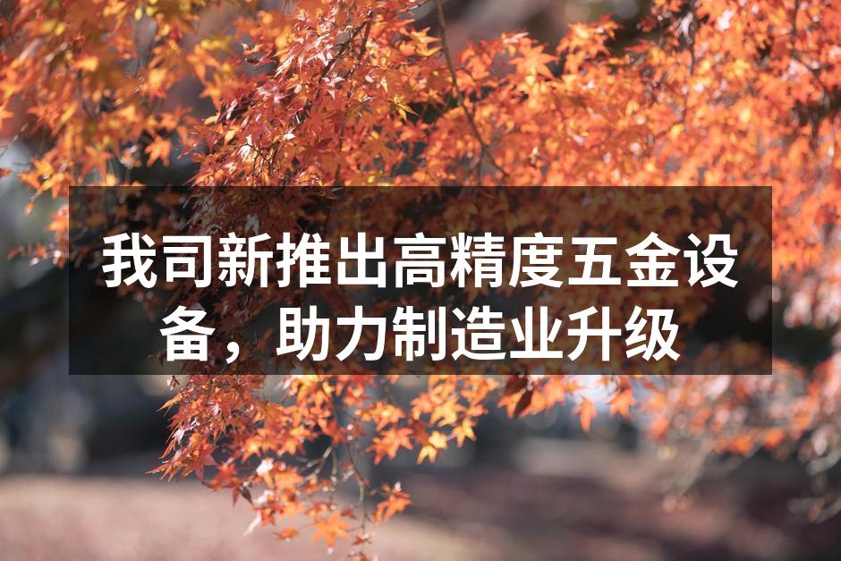 新款高精度五金设备展示