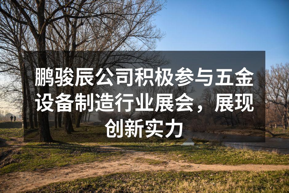 鹏骏辰展位吸引众多参观者